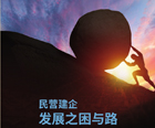 視點觀察